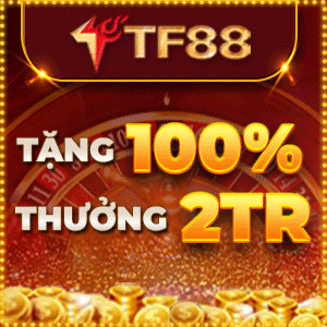 TF88-Banner